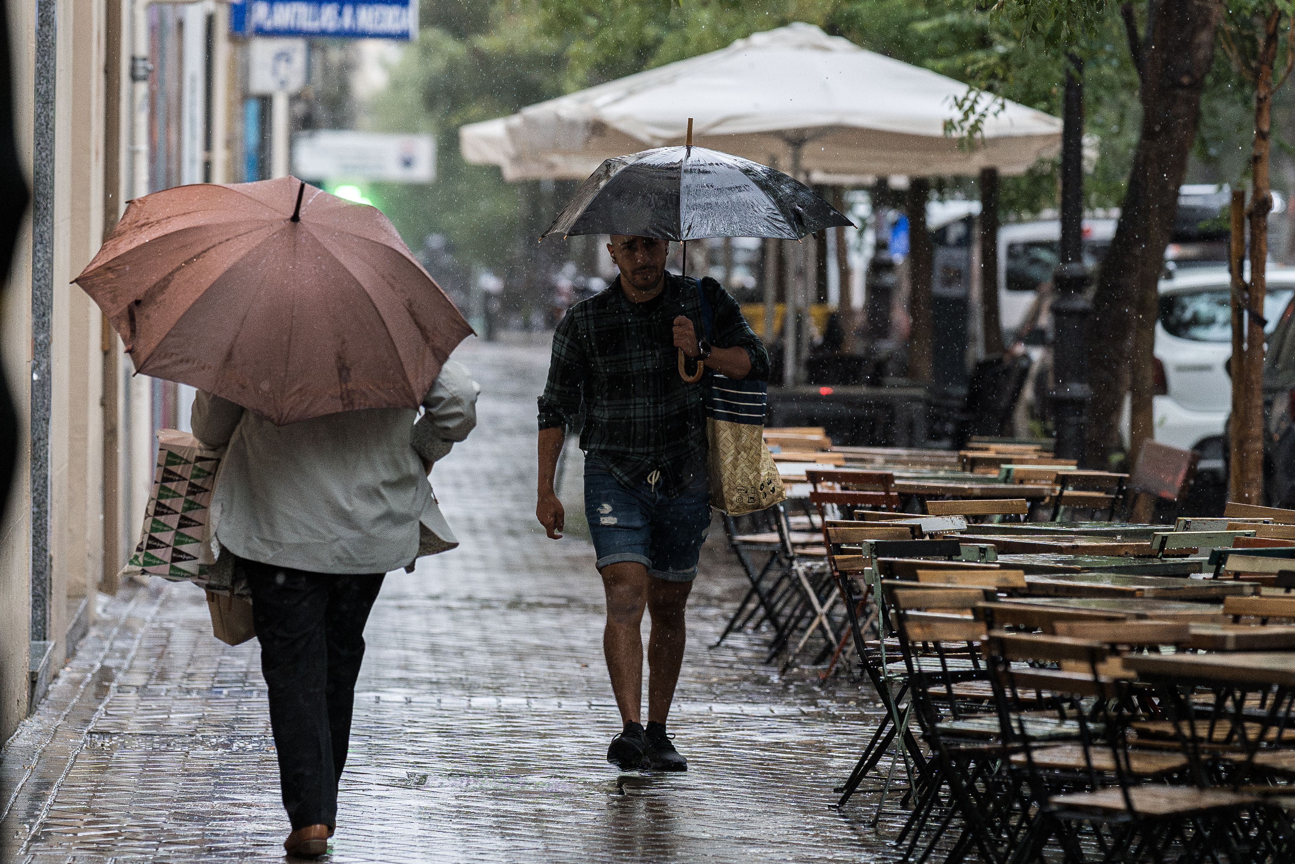 Primavera adelantada en febrero: hasta 25ºC en algunas zonas de España esta semana