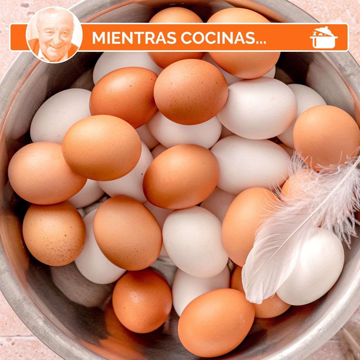 Huevos: ¿qué indica el color de la cáscara?, ¿cómo saber si están frescos?