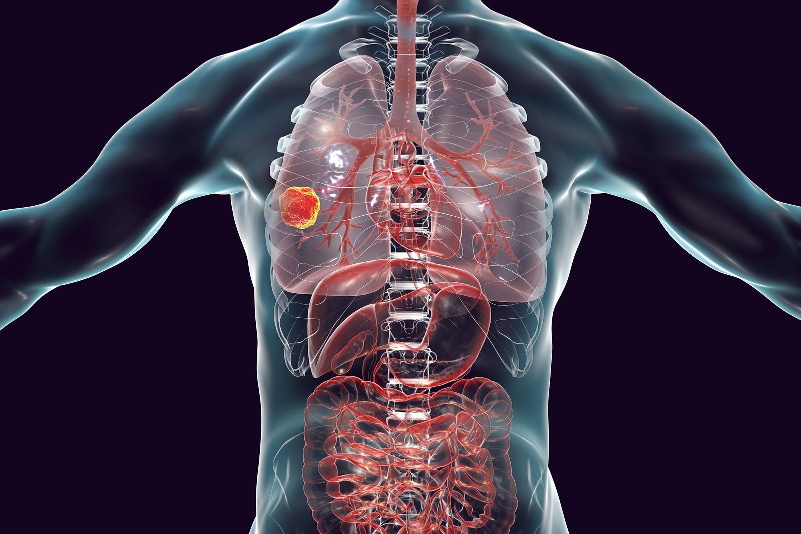 Evolución de la prevalencia de las enfermedades respiratorias en mayores y población general