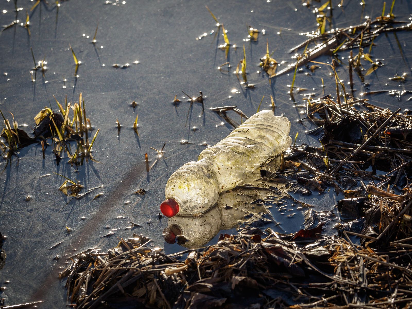 Ríos contaminados