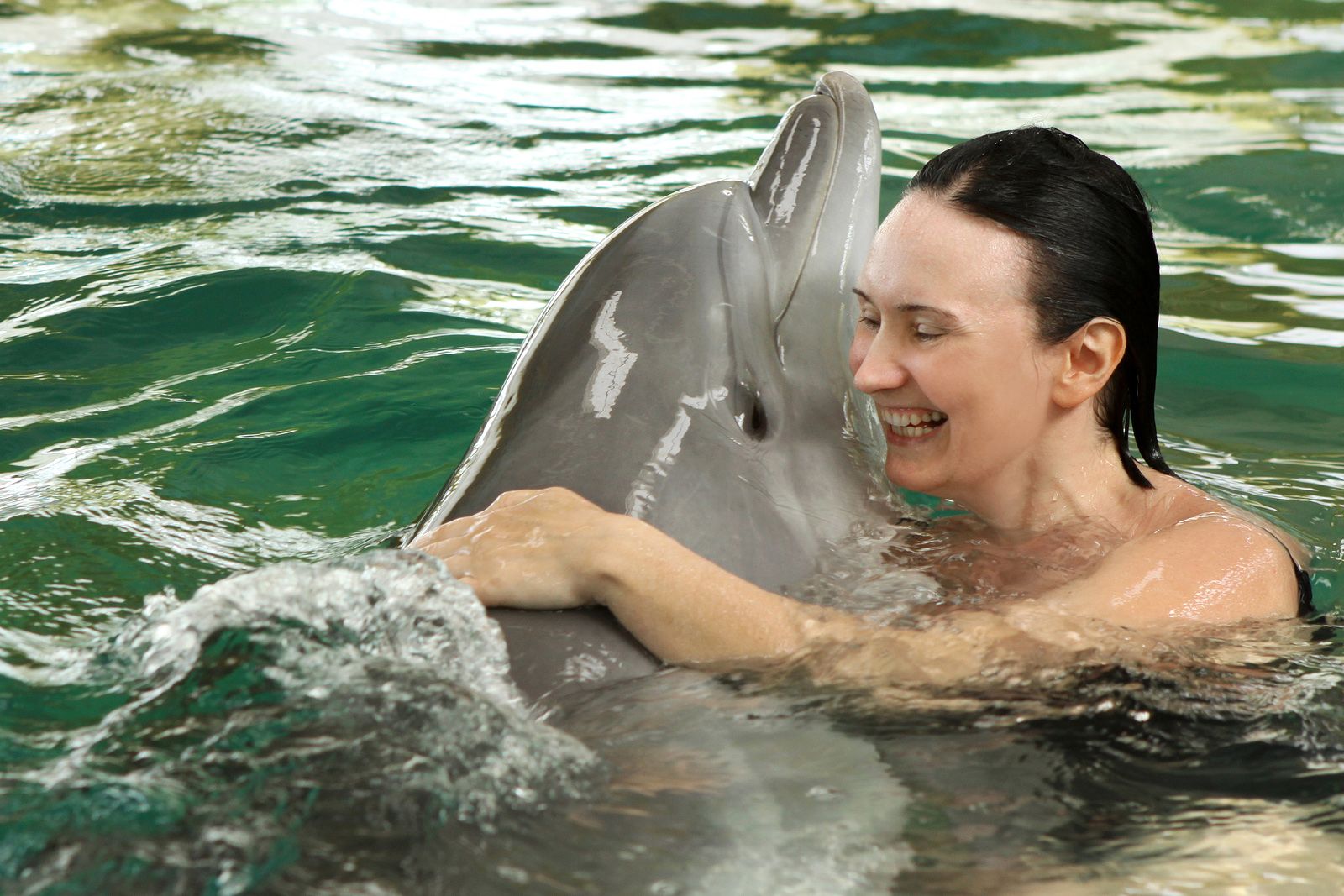 La terapia con delfines favorece la autoestima y la concentración de mayores con trastornos de salud