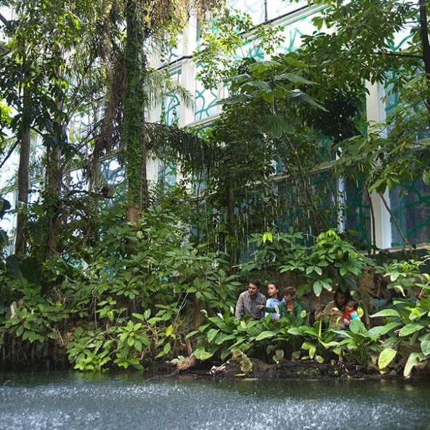 Bosque Inundado (CaixaForum Barcelona)