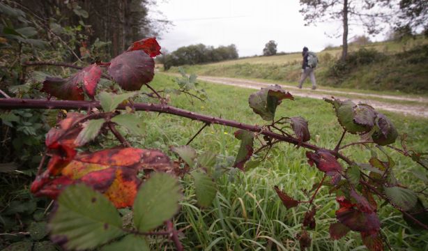 ¿Qué tiempo nos espera este otoño en España?