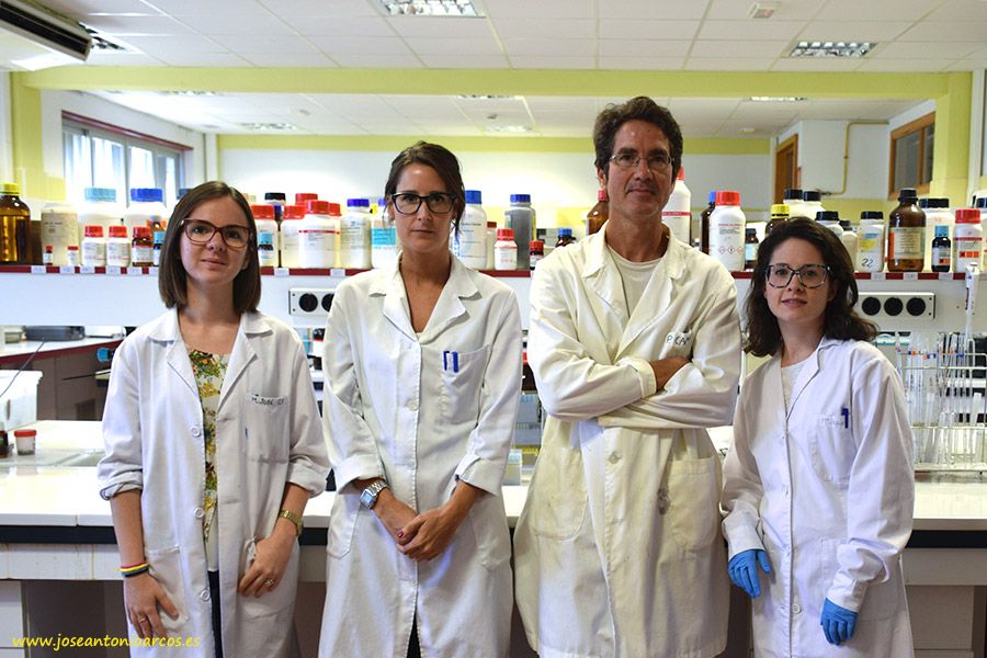 Equipo investigador de HPP