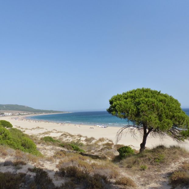 Playa de Bolonia (Cádiz)