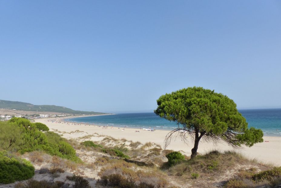 Playa de Bolonia (Cádiz)