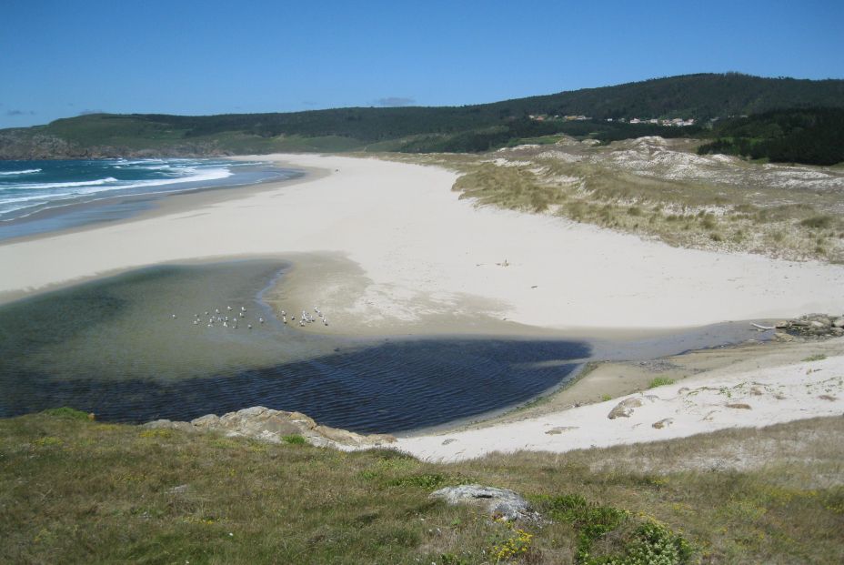 Praia do Rostro (A Coruña)