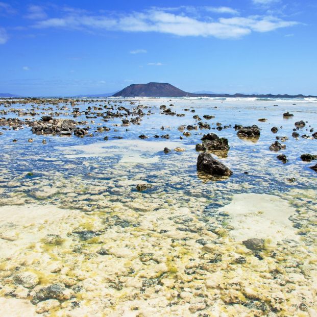 Playas de Corralejo (Fuerteventura)