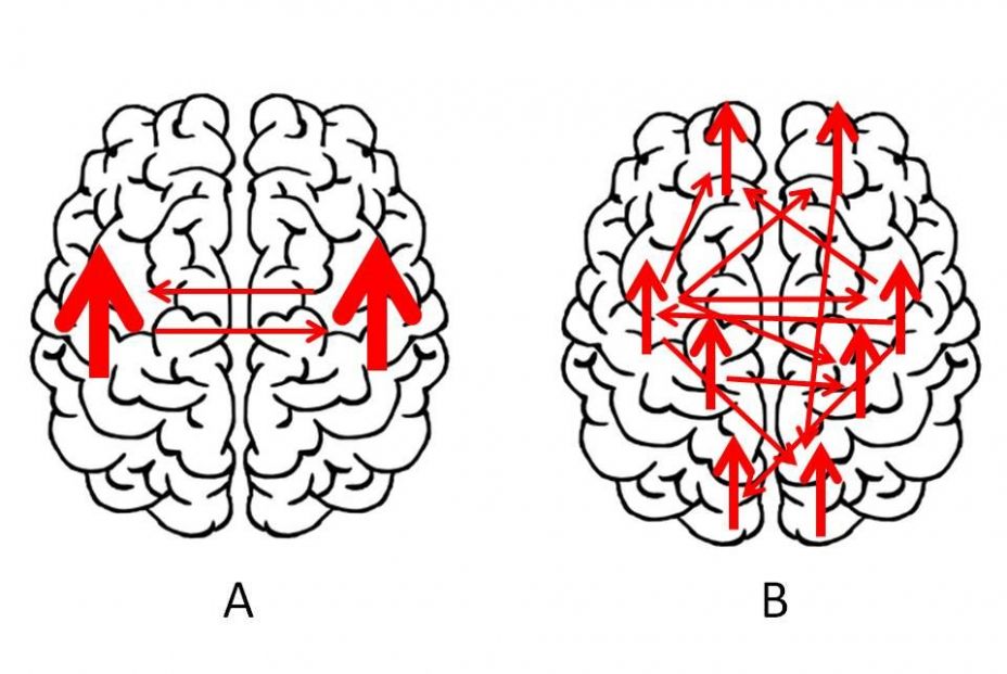 Diapositiva1