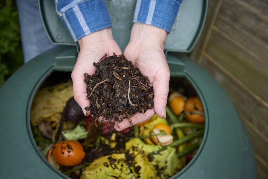 ¿Cómo crear un hogar sostenible?