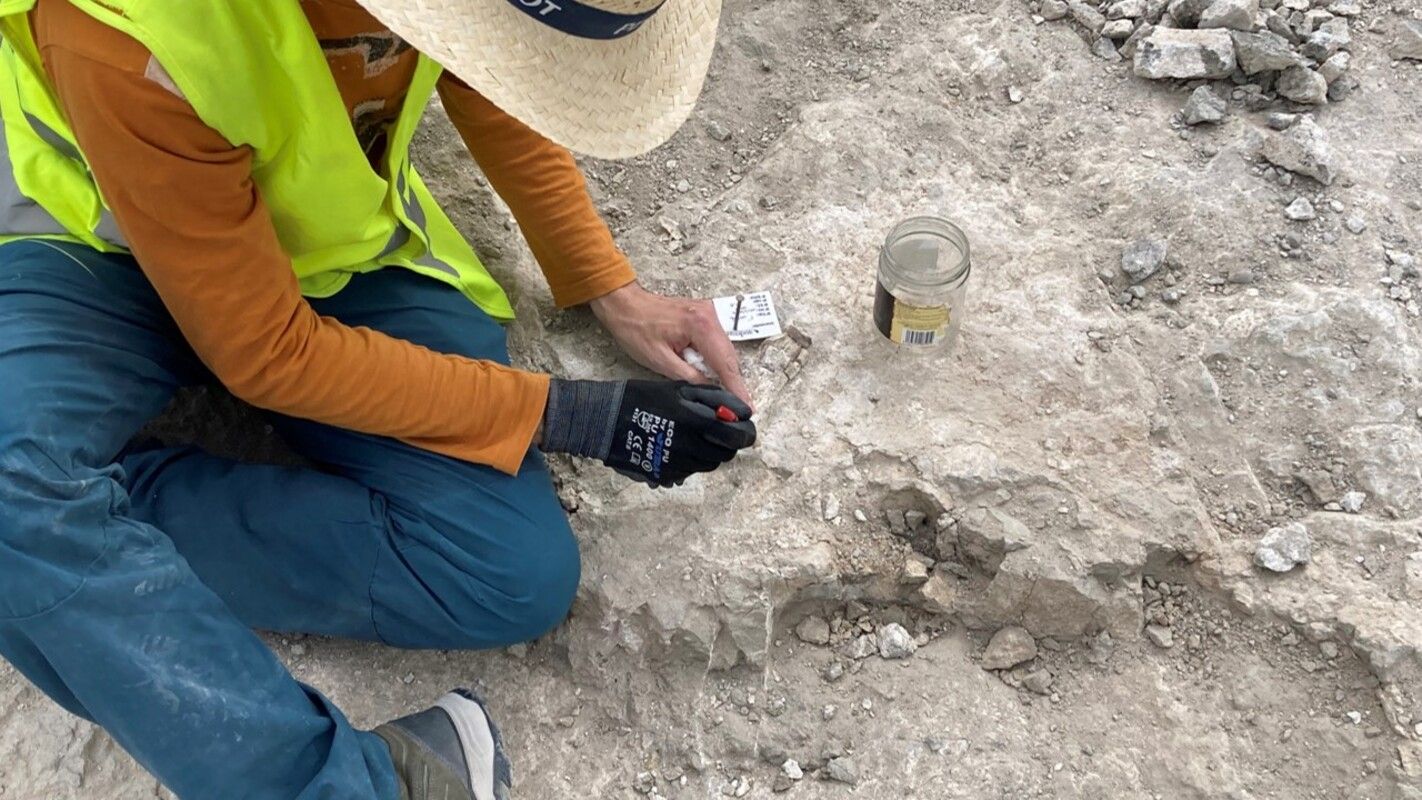 Encuentran en Madrid un cementerio de elefantes primitivos de hace 14 millones de años