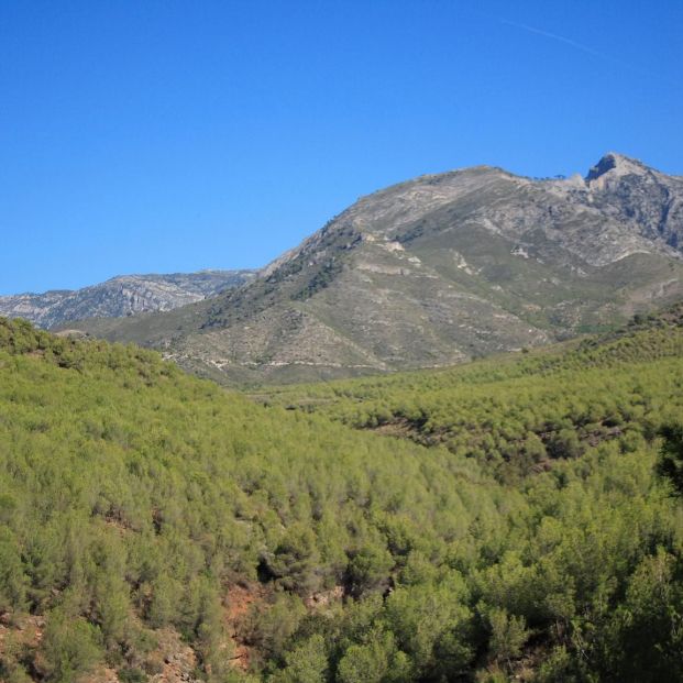 Estos son los mejores parques naturales de España  para una escapada de otoño