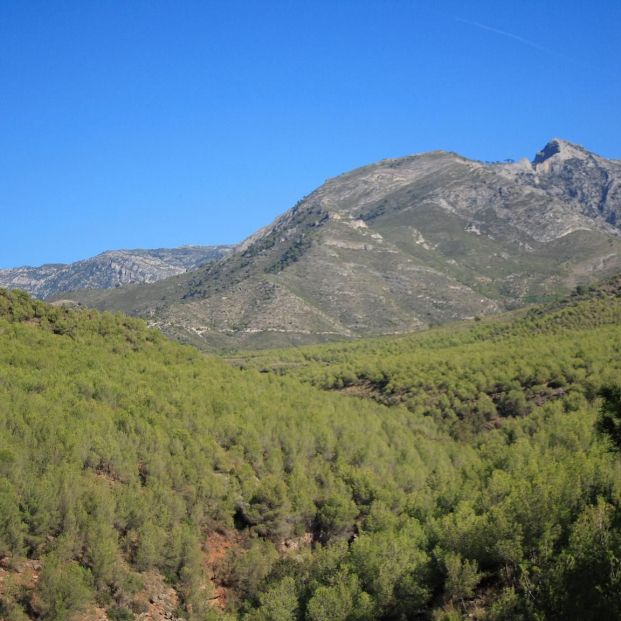 Estos son los mejores parques naturales de España  para una escapada de otoño