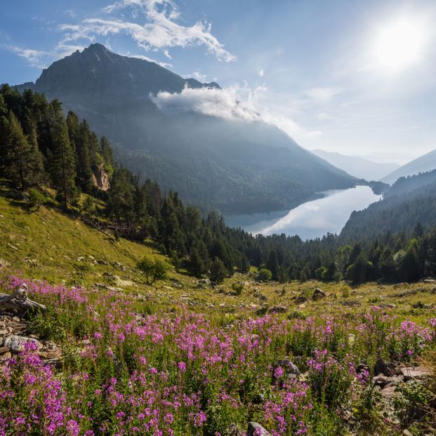 Estos son los mejores parques naturales de España  para una escapada de otoño