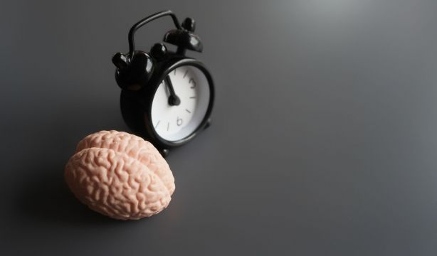 La sincronización entre relojes circadianos, clave para prevenir el envejecimiento