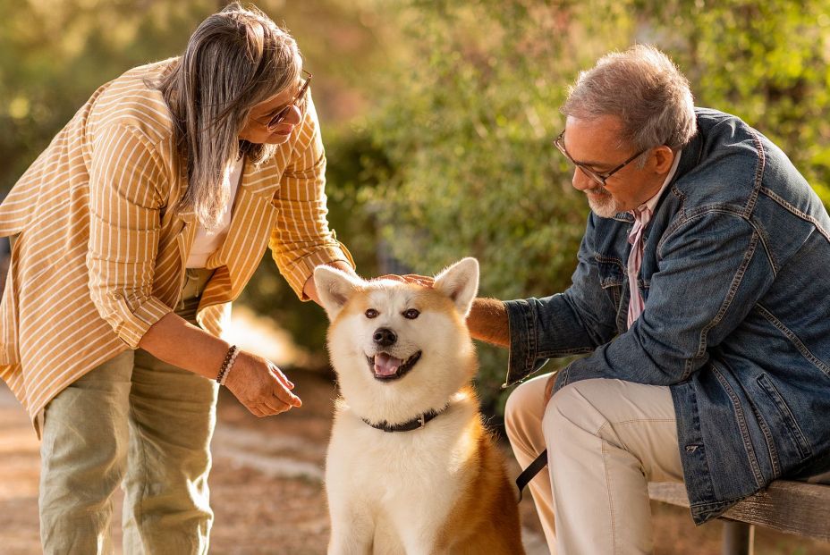 Ley de Bienestar Animal: ¿qué alimentos no puede comer tu mascota?