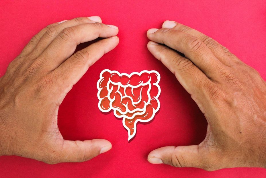Los expertos vinculan las recaídas del SIBO con un desequilibrio de la microbiota intestinal Los expertos vinculan las recaídas del SIBO con un desequilibrio de la microbiota intestinal