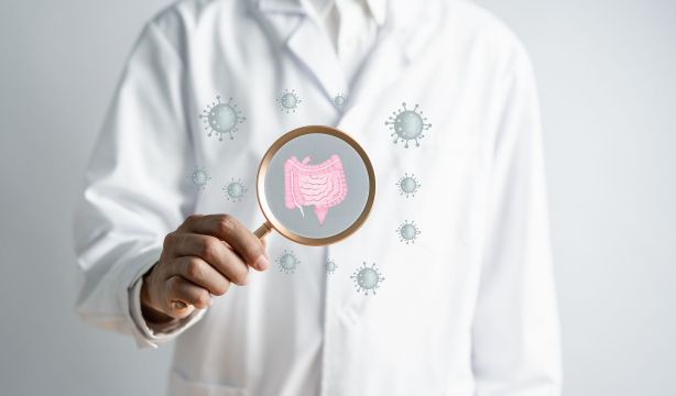 ¿Por qué recaen tantos pacientes con SIBO? La clave podría estar en la microbiota intestinal