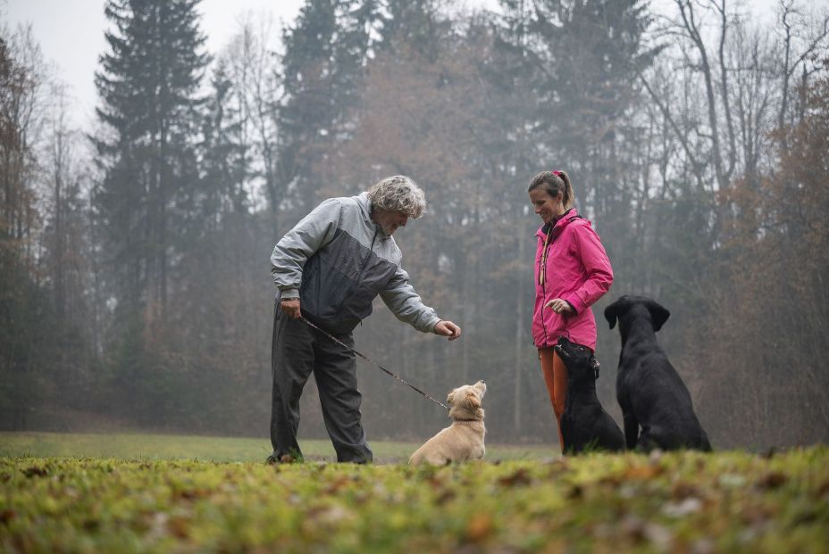 Cinco razones por las que cuidar de un perro incrementa tu bienestar físico y emocional