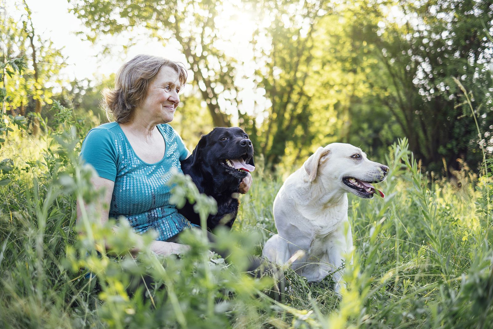 5 razones por las que cuidar de un perro incrementa tu bienestar físico y emocional