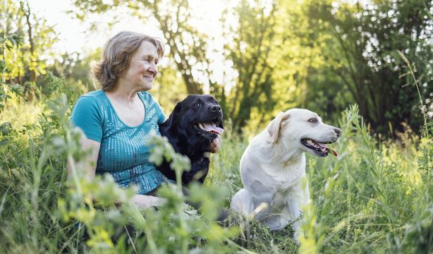 5 razones por las que cuidar de un perro incrementa tu bienestar físico y emocional