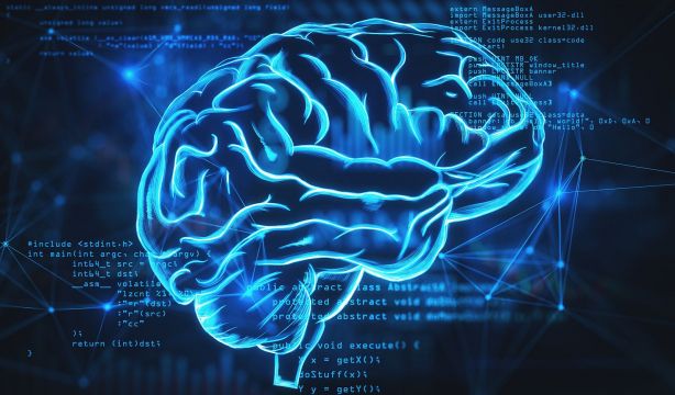 Los nuevos mapas celulares detallados de todo el cerebro desvelan qué nos hace humanos