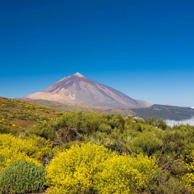 Pico del Teide en la cima de su Parque Natural