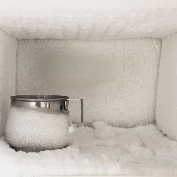 biología valores Fiel Cómo evitar las placas de hielo en el congelador