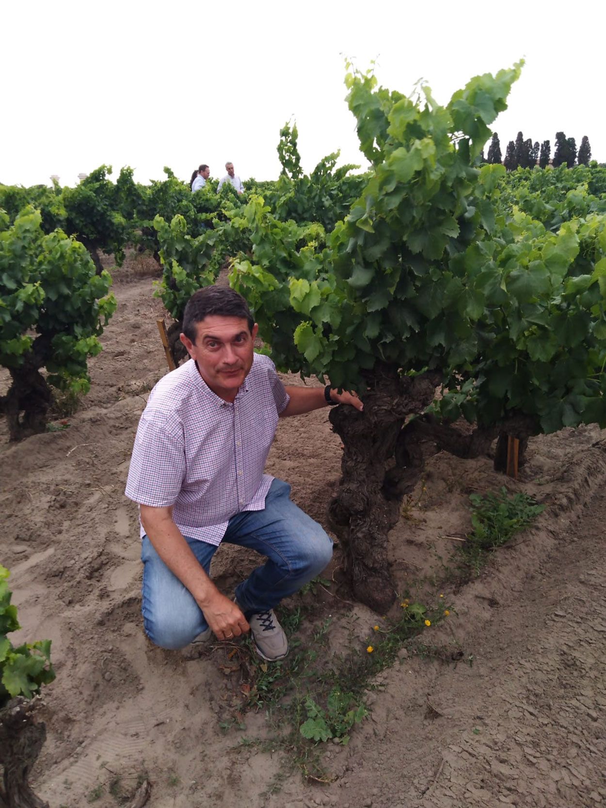 Gregorio Muñoz, IMIDRA: "En cuestión de vinos, España es mucho más que Rioja y Ribera"