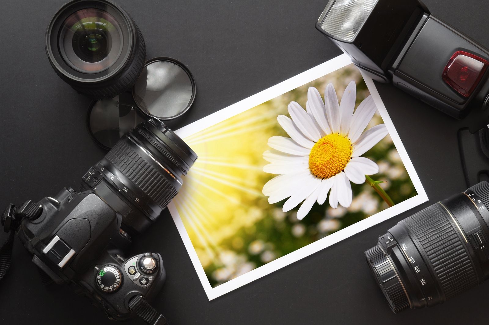 Primeros pasos con una cámara de fotografía nueva (pixabay)