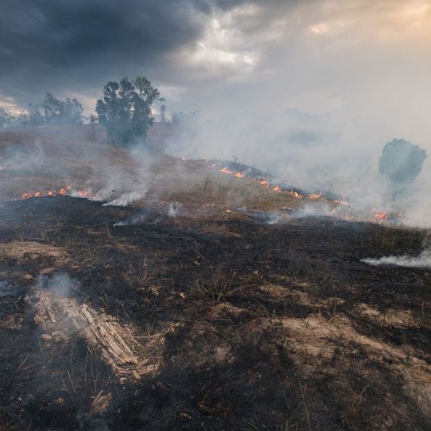 España, segundo país mediterráneo con más incendios cada año