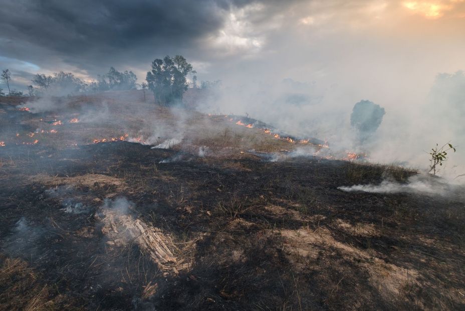 España, segundo país mediterráneo con más incendios cada año