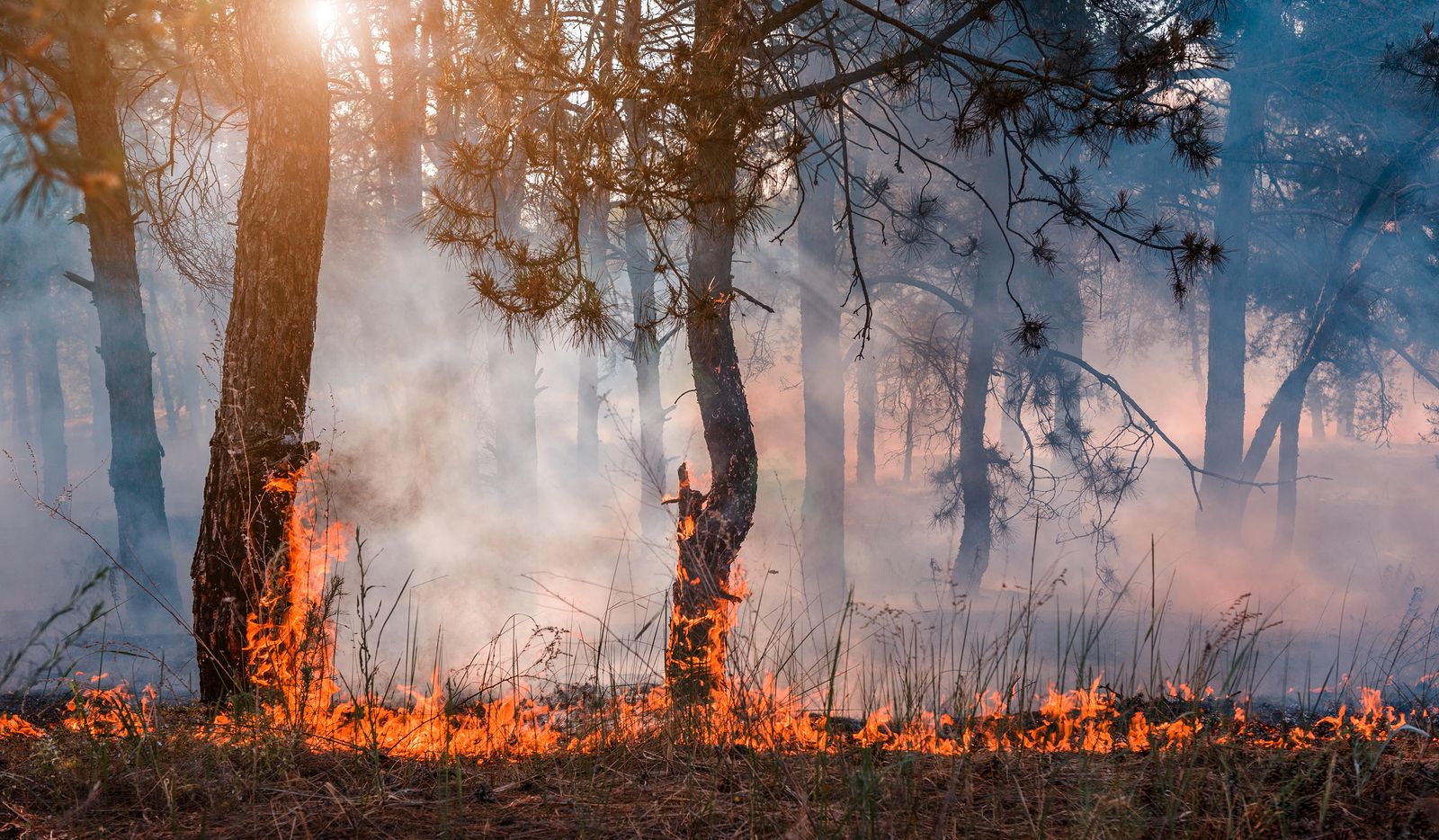 España, segundo país mediterráneo con más incendios cada año