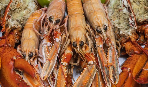 ¿Es malo el marisco para el colesterol?