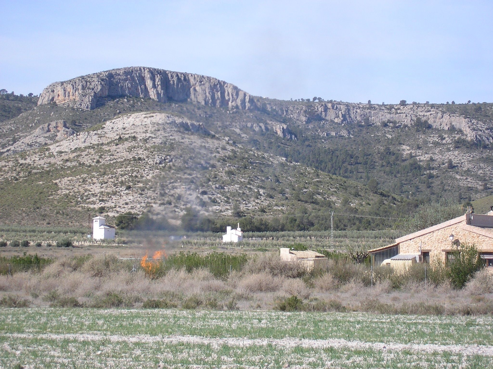 Los humanos realizaban incendios controlados hace 11.000 años