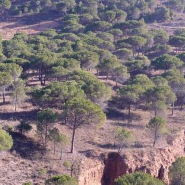 Las mejores rutas naturales para descubrir la belleza de La Rioja