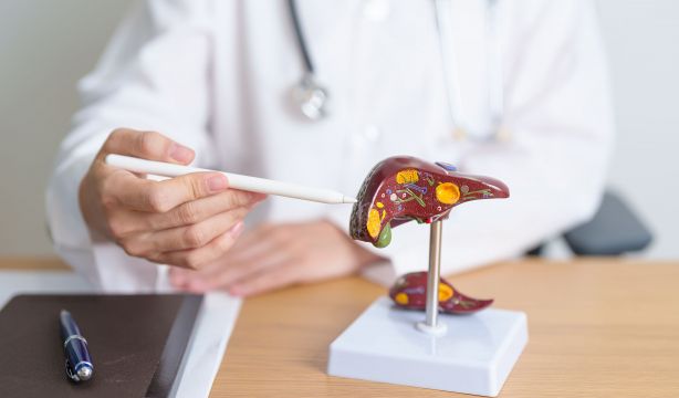 La OMS insta al Parlamento Europeo a crear conciencia sobre el vínculo entre el alcohol y el cáncer