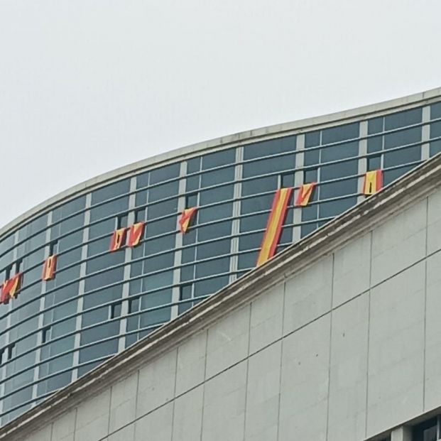 Vox despliega banderas de España con el crespón negro en el Congreso para protestar contra la investidura de Sánchez. Foto: Europa Press