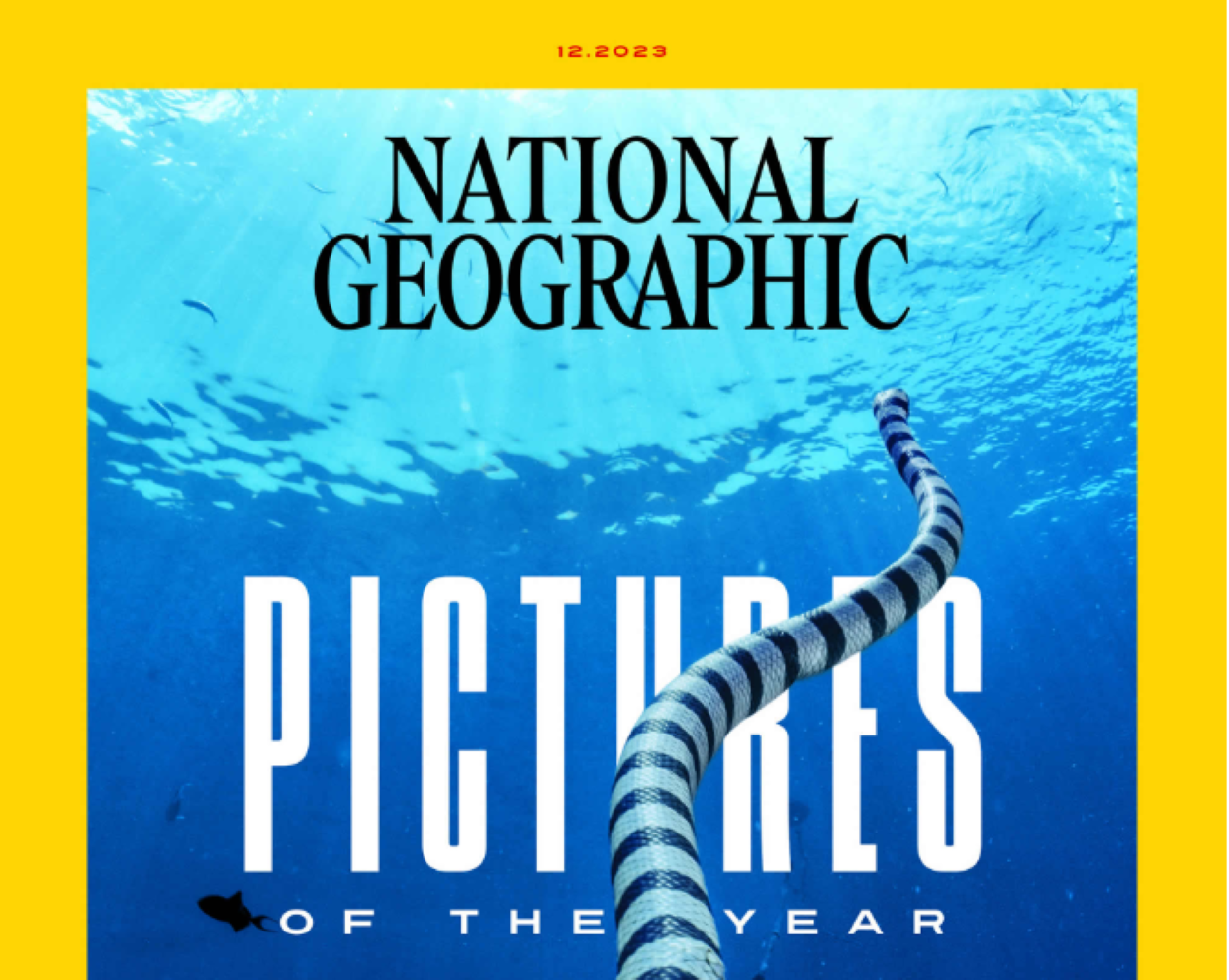 'National Geographic' desvela las imágenes del año 2023