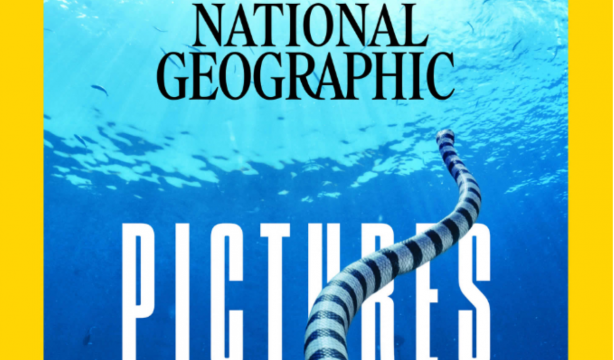 'National Geographic' desvela las imágenes del año 2023