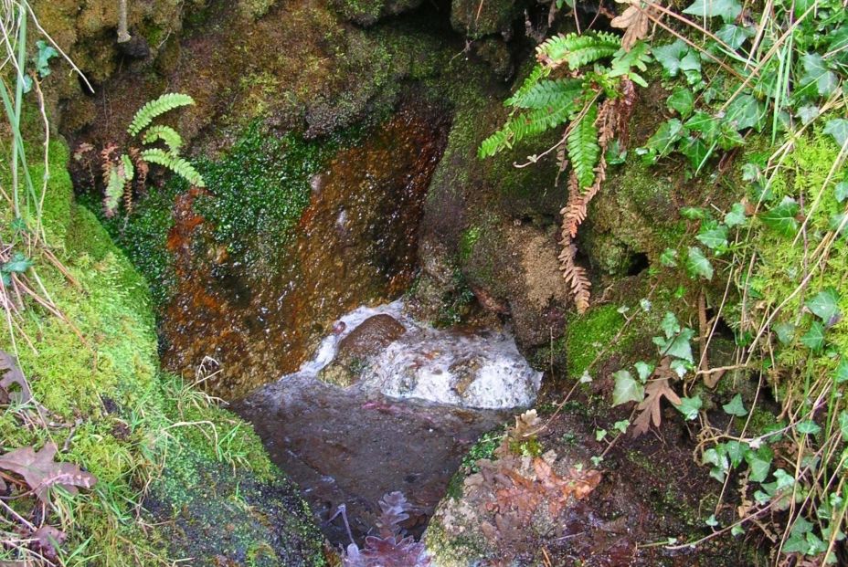 La composición química de las aguas termales podría servir como alerta de terremotos 