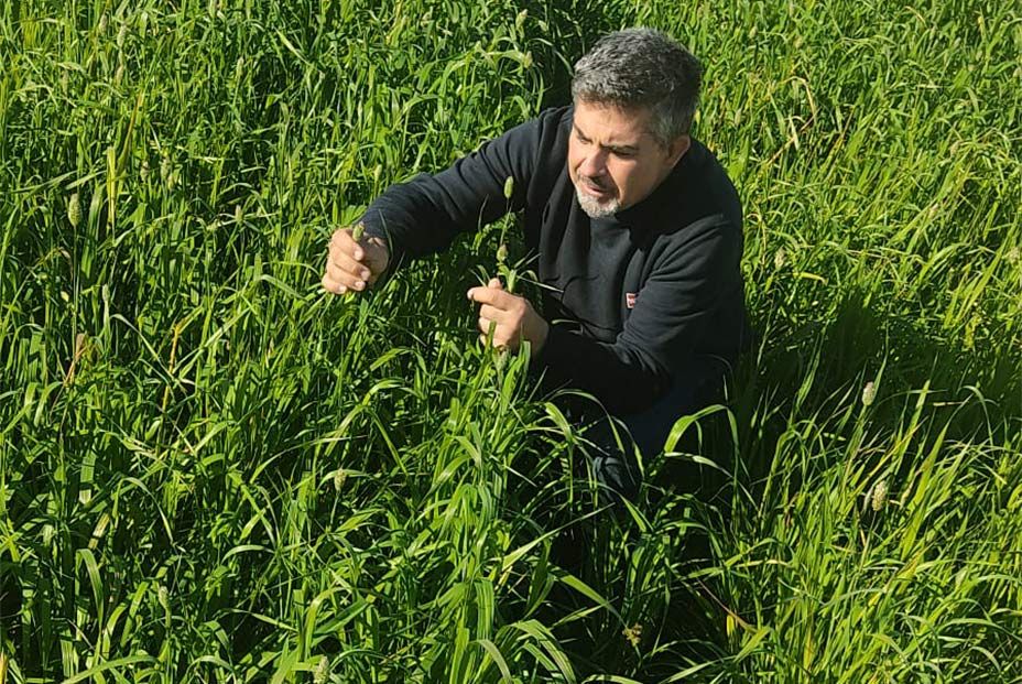 Roberto Saiz: “Las leguminosas son un auténtico tesoro, las especies raras deben llegar a la cocina”