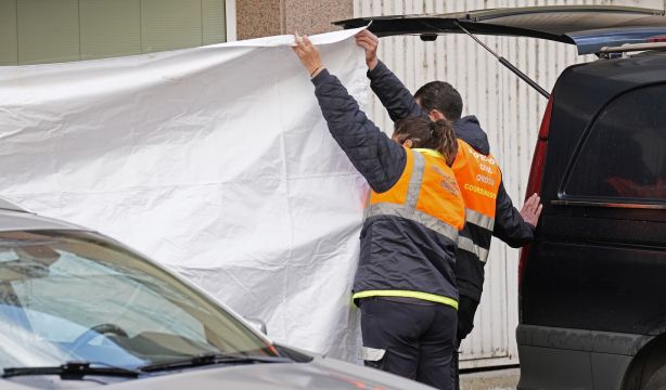 El asesinato de Encarnación, de 80 años, eleva a 55 las víctimas por violencia machista en 2023