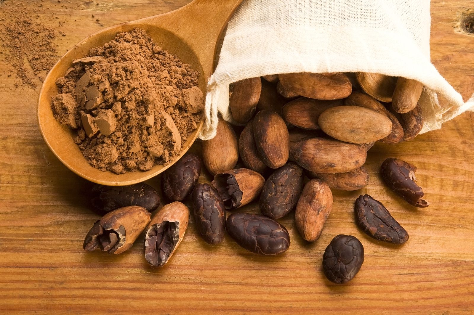 Los beneficios del suplemento de extracto de cacao en las personas mayores