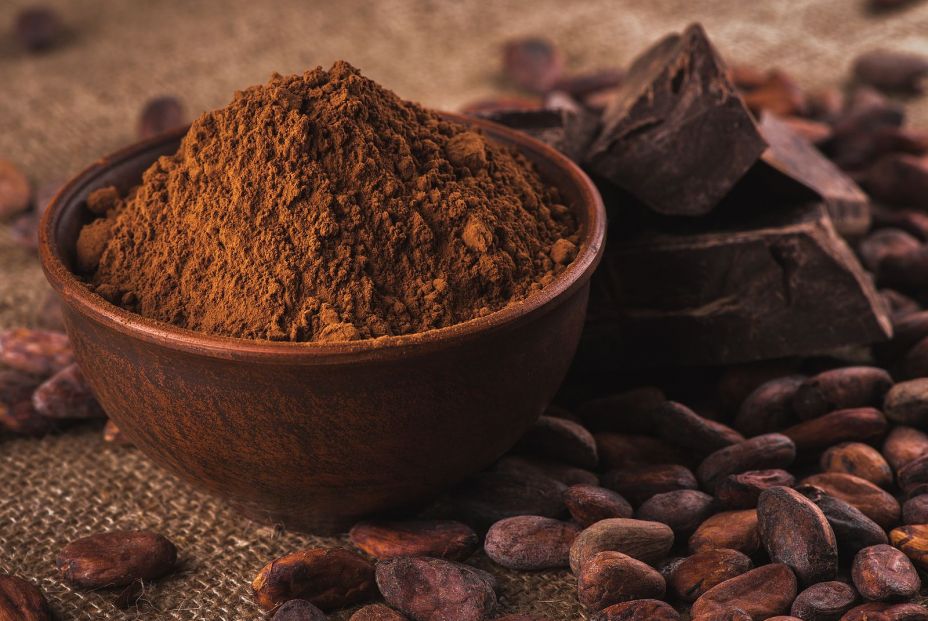 Beneficios del suplemento de extracto de cacao en personas mayores