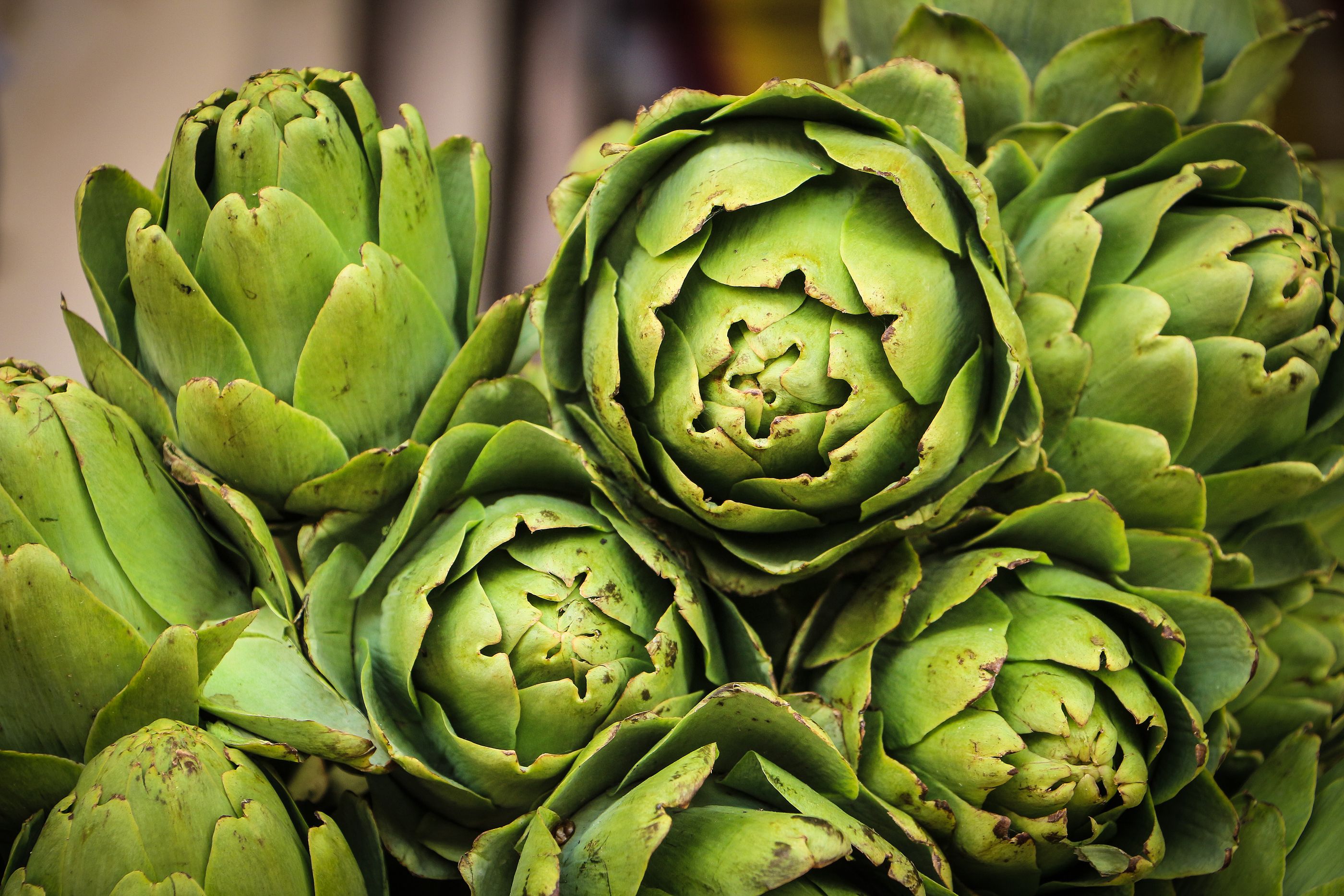 Un estudio apunta al uso de plantas para tratar tumores y enfermedades raras