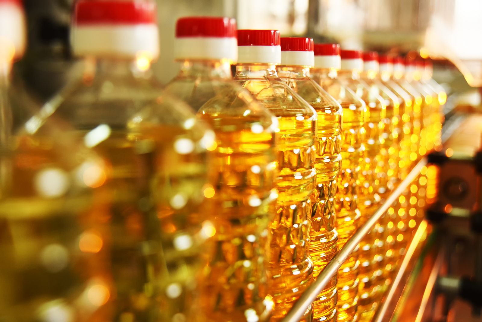 Las mejores alternativas al aceite de oliva, según un experto nutricionista 
