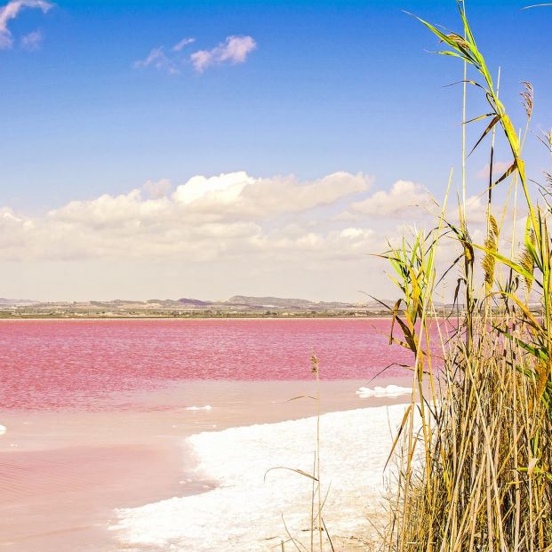 Laguna rosa (bigstock)