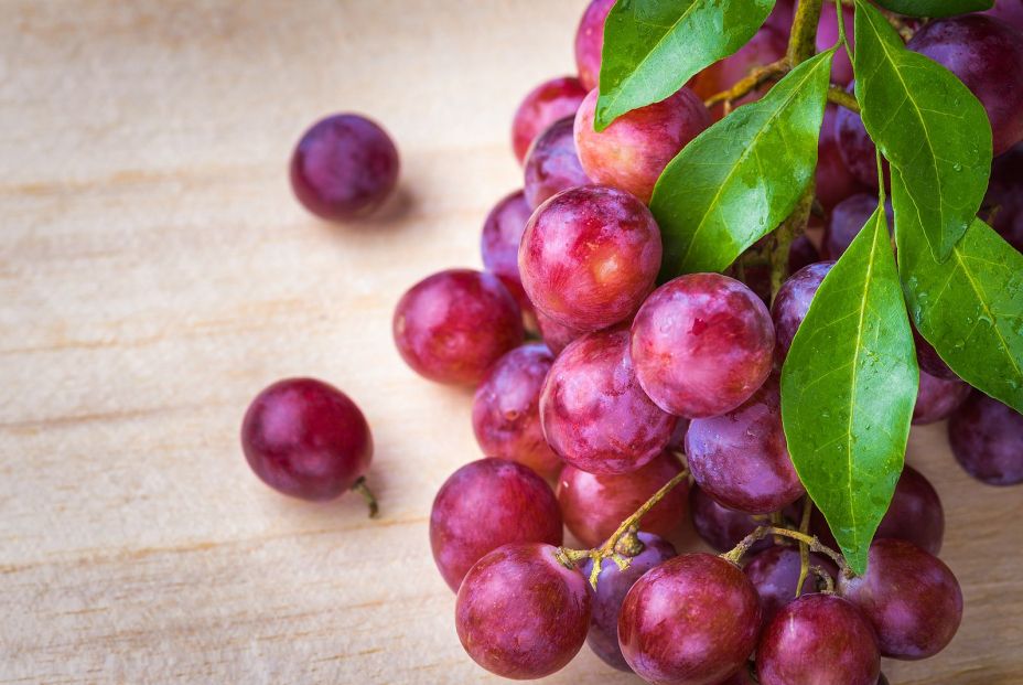 Las uvas rojas contribuyen a la prevención del cáncer y otras enfermedades crónicas