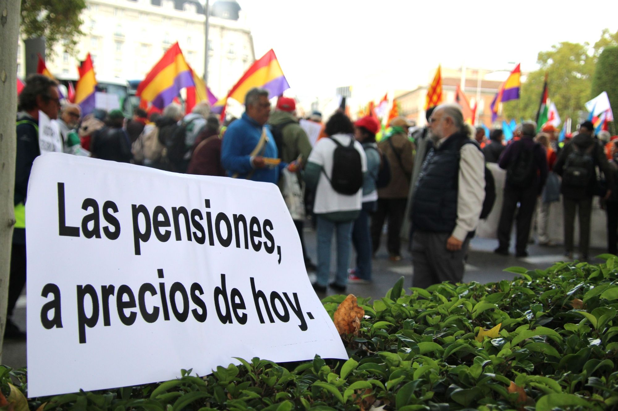 Subida de pensiones 2024: la paga máxima será 3.175 euros al mes y la no contributiva, 7.250 al año